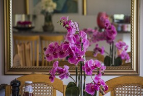 La Loggia B&B