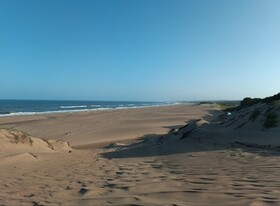 The Tropical Hut Lodges