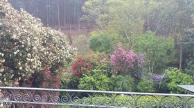 Babbling Brook B&B