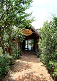 Tala Collection Game Reserve By Dream Resort