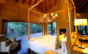 Tala Collection Game Reserve By Dream Resort