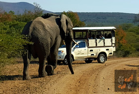 Lodge Afrique