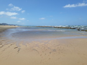 Sandpiper Guest House