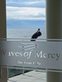 Waves of Mercy