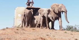 Blaauwbosch Private Game Reserve