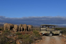 Sanbona Wildlife Reserve