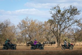 Waterberg Luxury Lodge At Zebula