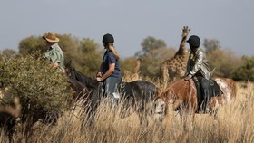 Waterberg Luxury Lodge At Zebula