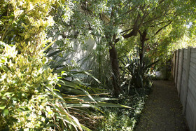 Birch Bush Bed and Breakfast
