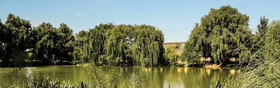 Kopano Nokeng