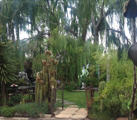 Calvinia Magic Garden