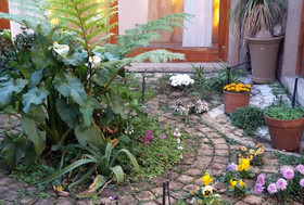 Ahh Chimneys And Roses