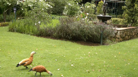 The Highland Rose Country House