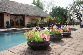 The Lapha B&B