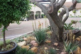 The Lapha B&B