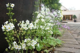 The Lapha B&B