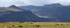 Mount Camdeboo Private Game Reserve by Newmark