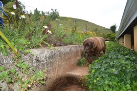 Thaba Tsweni Lodge & Safaris