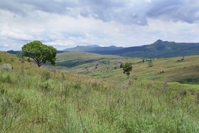 Thaba Tsweni Lodge & Safaris