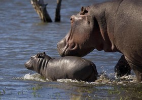 Mjejane River Lodge