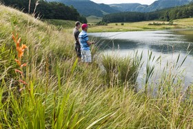 Rockwood Lodges