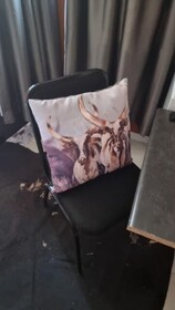 Flower Lane Guesthouse
