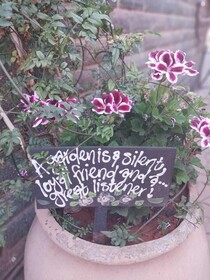 Wisteria Lane Guesthouse