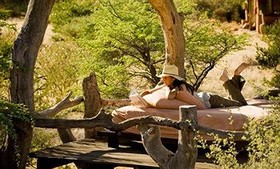 Tswalu Kalahari