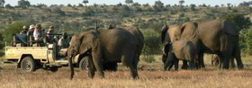 Mashovhela Bush Lodge