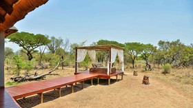 Safari Plains