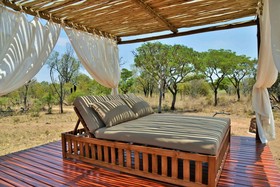 Safari Plains