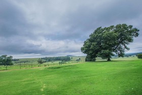 Machadostud Fly Fishing Lodge