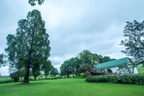 Machadostud Fly Fishing Lodge