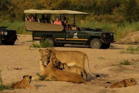 Jock Safari Lodge
