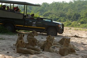 Jock Safari Lodge