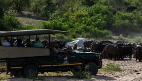 Jock Safari Lodge