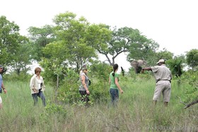 Jock Safari Lodge