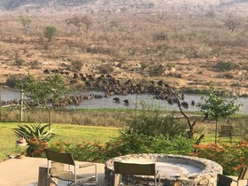 Kambaku River Lodge
