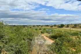 Bona Ngwenya Lodge