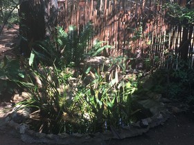 Bushwise Safari & Lodge