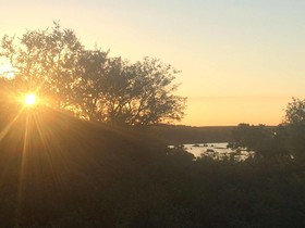 Bushwise Safari & Lodge