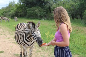 Kruger Park Hostel