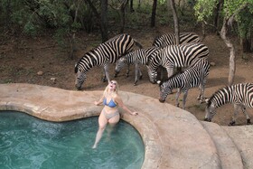 Kruger Park Hostel