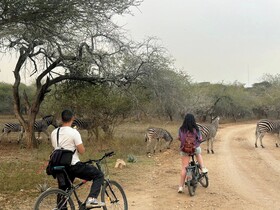 Kruger Park Hostel