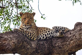 Kruger Park Hostel