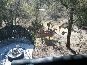 Kruger River Villas