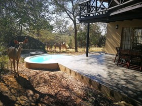 Kruger River Villas