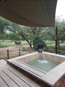 Marloth Park Sanbonani