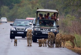 Phumula Kruger Lodge And Safaris