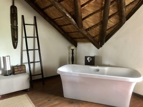 Rhinos Rest